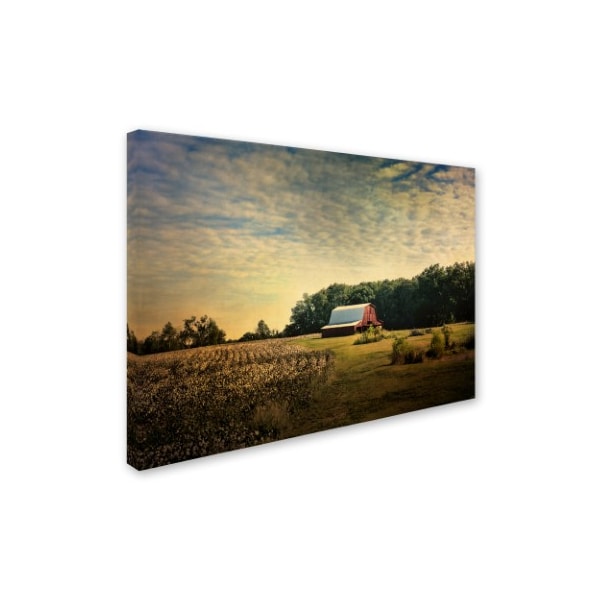 Jai Johnson 'Red Barn At The Cotton Field' Canvas Art,18x24